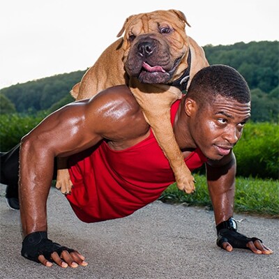 Bild zeigt Mann, der mit einem großen Hund auf seinem Rücken Liegestütze macht
