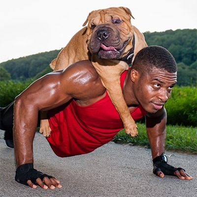 Bild zeigt Mann, der mit einem großen Hund auf seinem Rücken Liegestütze macht
